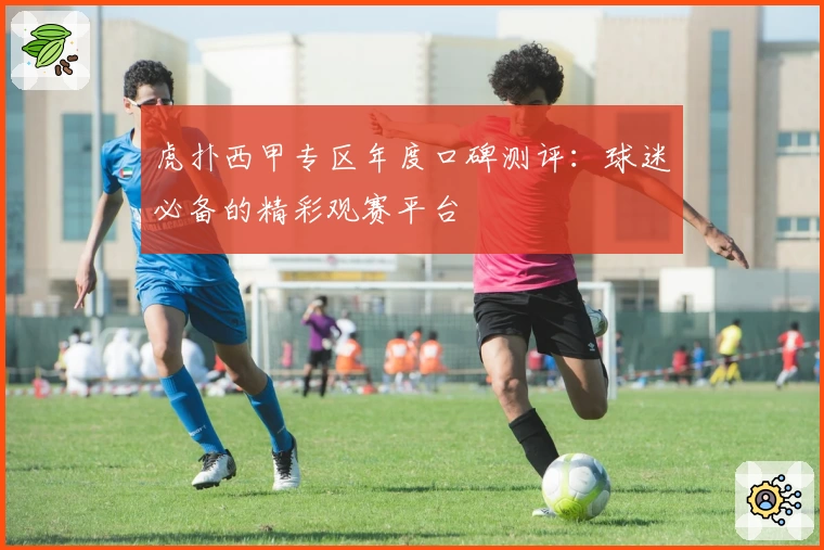 虎扑西甲专区年度口碑测评：球迷必备的精彩观赛平台